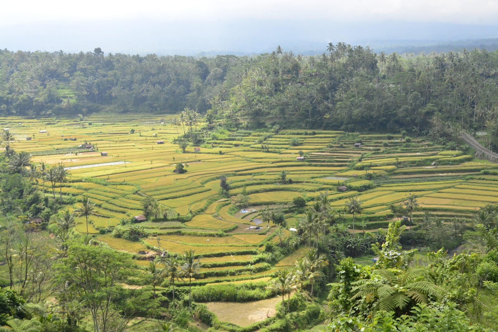 o que fazer em ubud na indonesia por marina zoppei